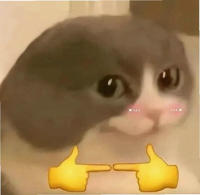 Meme ngầu hình ảnh chú mèo đang nháy mắt đầy tinh nghịch