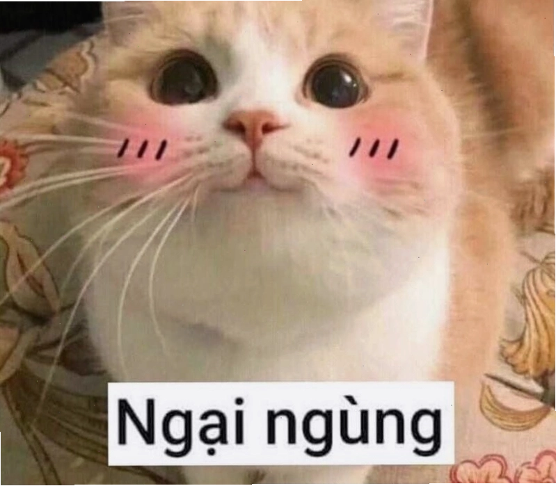 Meme ngầu hình ảnh chú thỏ với vẻ mặt "khó ở"