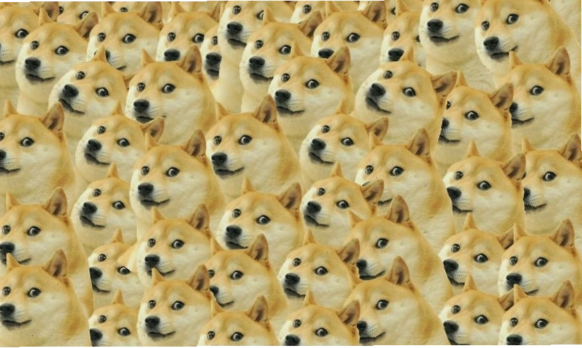 Meme Shiba Dog đáng yêu