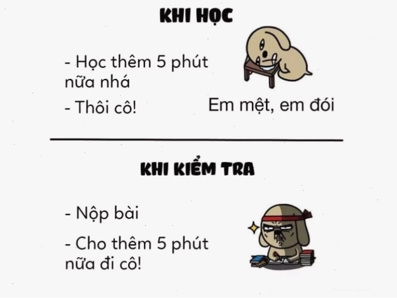 Meme so sánh thái độ học tập khác biệt giữa lúc ôn và lúc thi