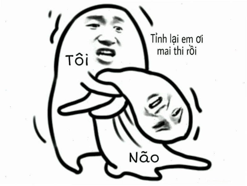 Meme về tình trạng não bộ trước kỳ thi