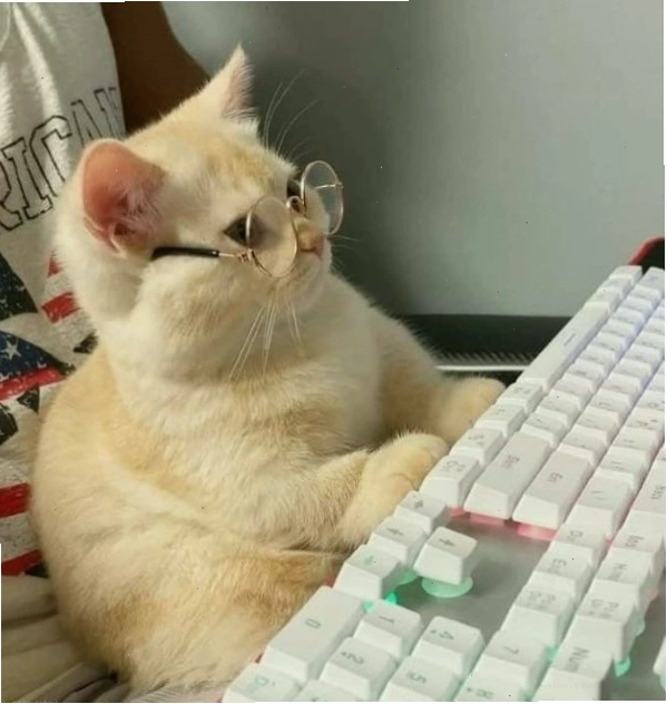 Meme vui nhồi nhét công việc vào phút chót