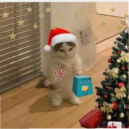 Mèo Giáng sinh bên cây thông xanh tươi