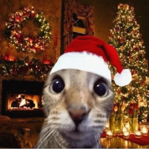 Mèo Giáng sinh với mũ ông già Noel đơn giản nhưng đáng yêu