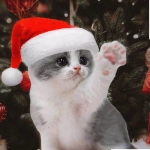 Mèo Giáng sinh với mũ ông già Noel giơ tay vui vẻ
