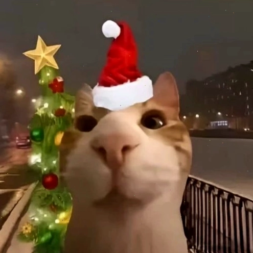 Mèo Giáng sinh với mũ ông già Noel làm mặt ngộ nghĩnh