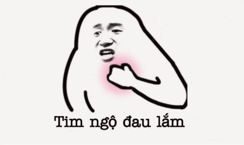 Mèo meme biểu cảm hài hước làm avatar