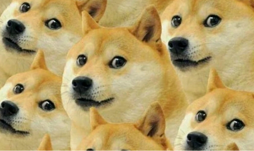 Mèo meme biểu cảm ngái ngủ
