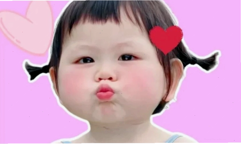 Mèo meme cute đáng yêu