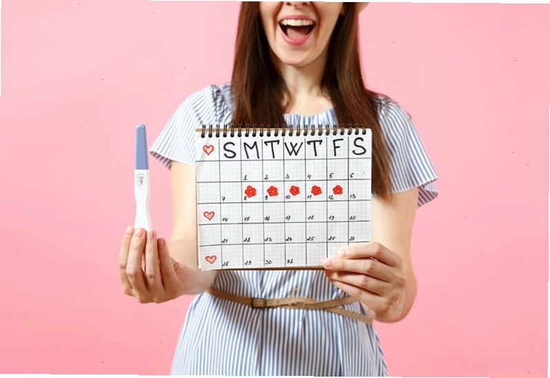 Minh họa cách tính ngày rụng trứng trong chu kỳ kinh nguyệt