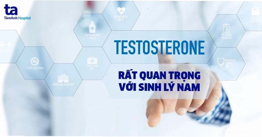 Minh họa hormone testosterone trong cơ thể nam giới