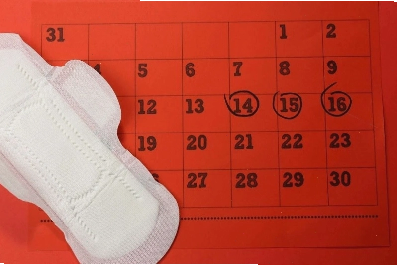 Mô phỏng chu kỳ kinh nguyệt bình thường của nữ giới kéo dài khoảng 28-32 ngày