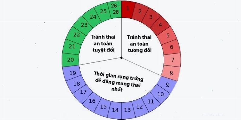 Mô phỏng ngày an toàn trong chu kỳ kinh để quan hệ tình dục
