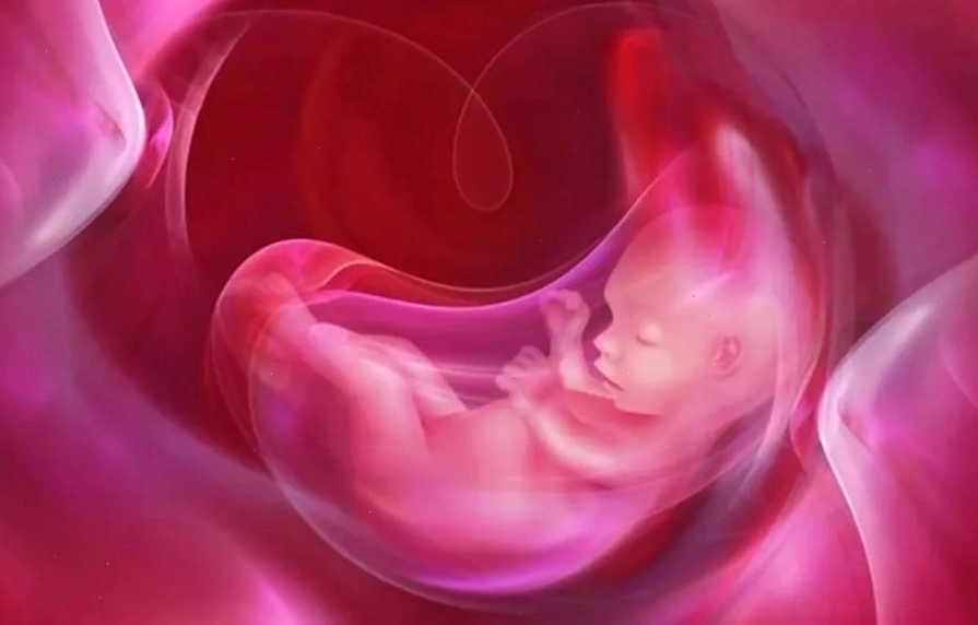 Môi trường nước ối ổn định giúp thai nhi phát triển toàn diện