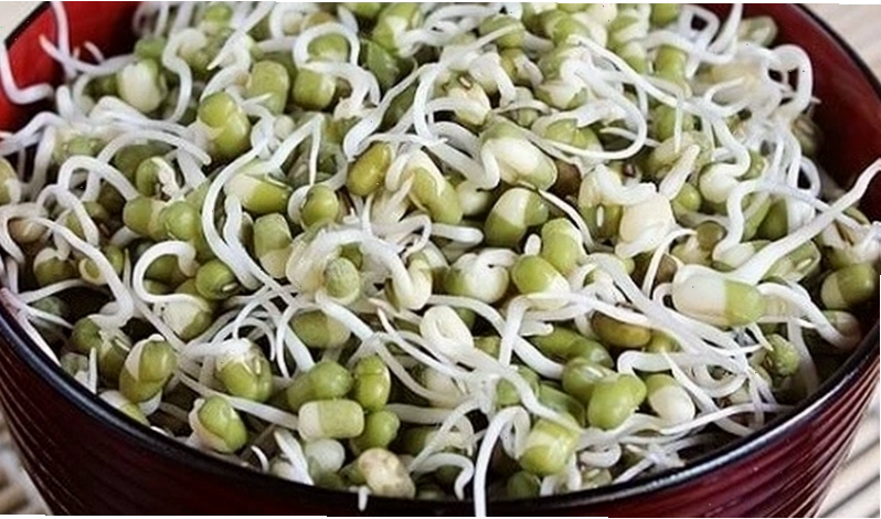 Món giá đỗ xào trứng ngon miệng cho bà bầu