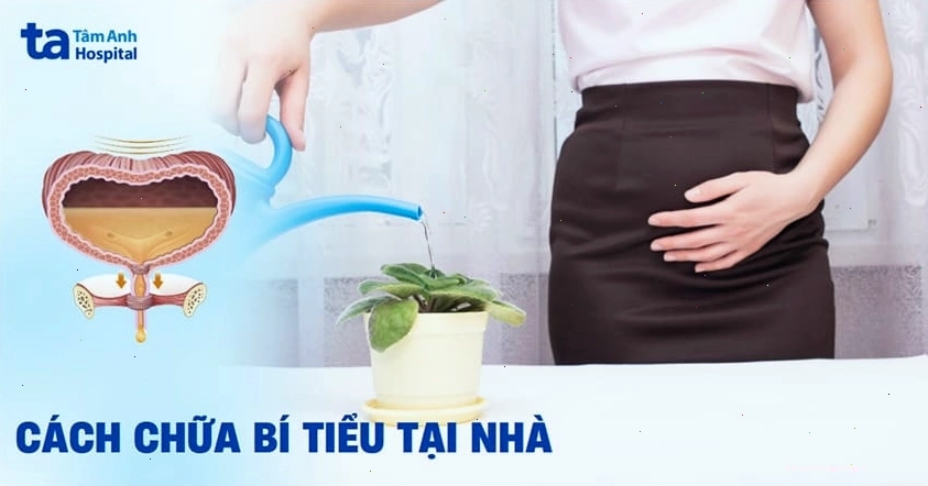 Một số cách chữa bí tiểu tại nhà có thể hỗ trợ giảm triệu chứng