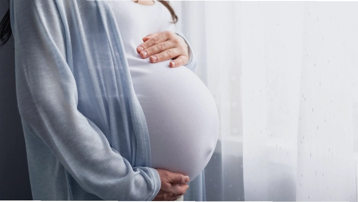 Người lớn tuổi đang trò chuyện vui vẻ cùng nhau