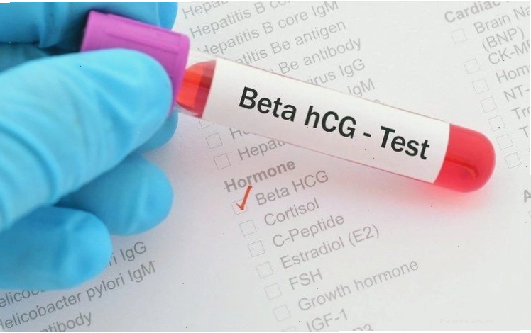 Nồng độ hormone hCG tăng dần theo thời gian sau thụ thai