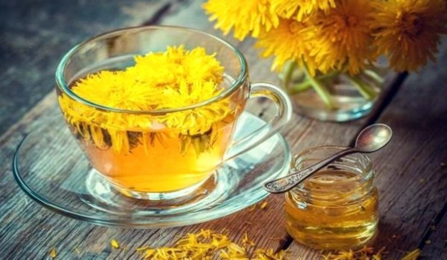 Nước lá Bồ Công Anh giúp trị tắc sữa hiệu quả cho mẹ sau sinh