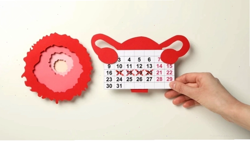 Quan hệ trước ngày rụng trứng có thai không