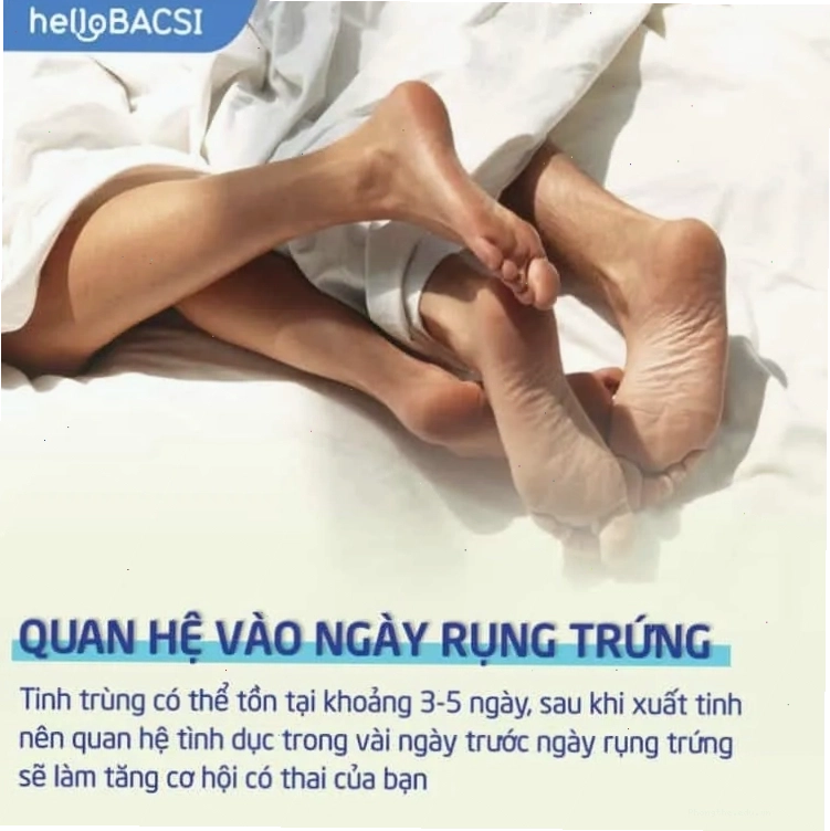 Quan hệ vào ngày rụng trứng để tăng cơ hội thụ thai