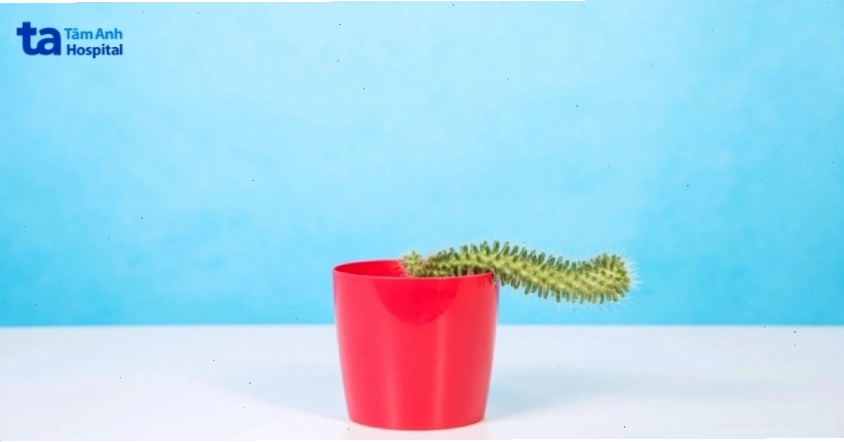 Rối loạn cương dương là tình trạng phổ biến ở nam giới