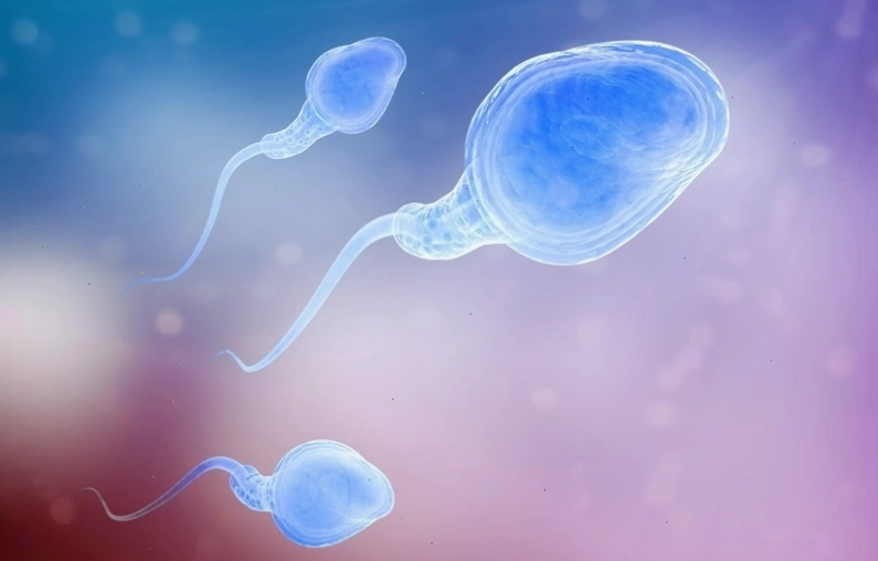 Rủi ro khi nuốt tinh trùng từ nguồn không an toàn