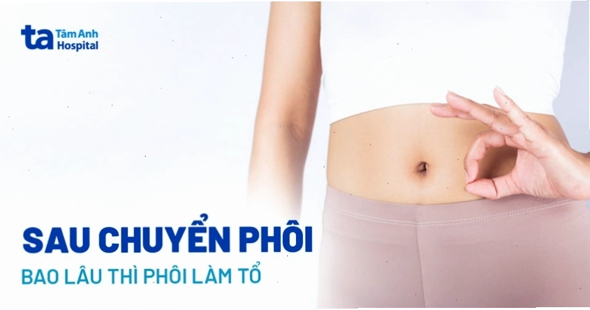 Sau chuyển phôi bao lâu thì phôi làm tổ (thai vào tử cung)?