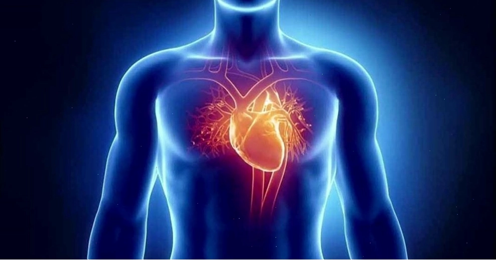 Sau xuất tinh và sức khỏe tim mạch