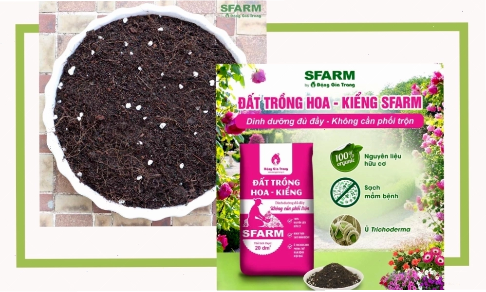SFARM cung cấp sỉ đất trồng hoa kiểng chất lượng