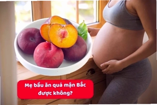 So sánh mận miền Nam và mận miền Bắc cho bà bầu