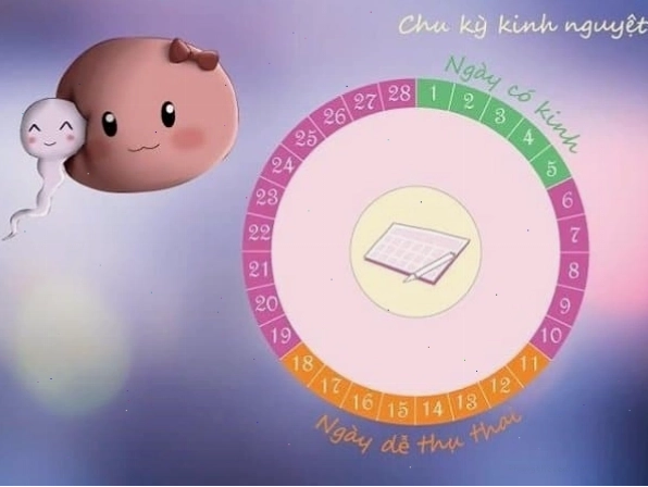 Sử dụng lịch để tính ngày an toàn tránh thai