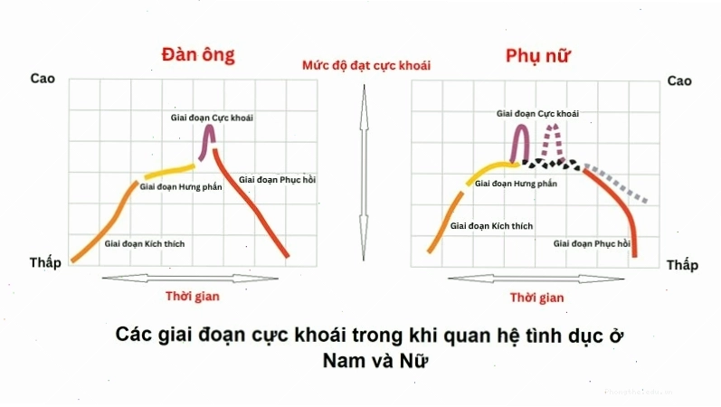 Sự gắn kết tình cảm giúp cải thiện đời sống tình dục