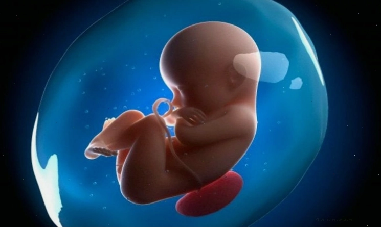 Thai nhi bị nấc cụt có biểu hiện là những cú giật nhẹ ở vùng bụng dưới, cần theo dõi nếu kéo dài bất thường.