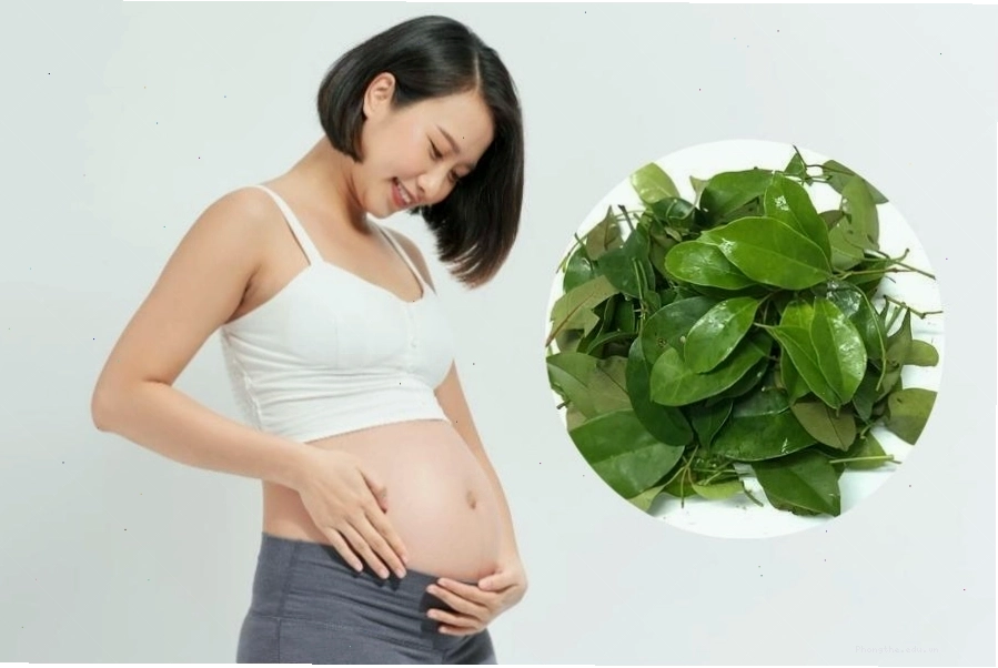 Tham khảo ý kiến bác sĩ là cần thiết khi bà bầu có thắc mắc về chế độ ăn uống