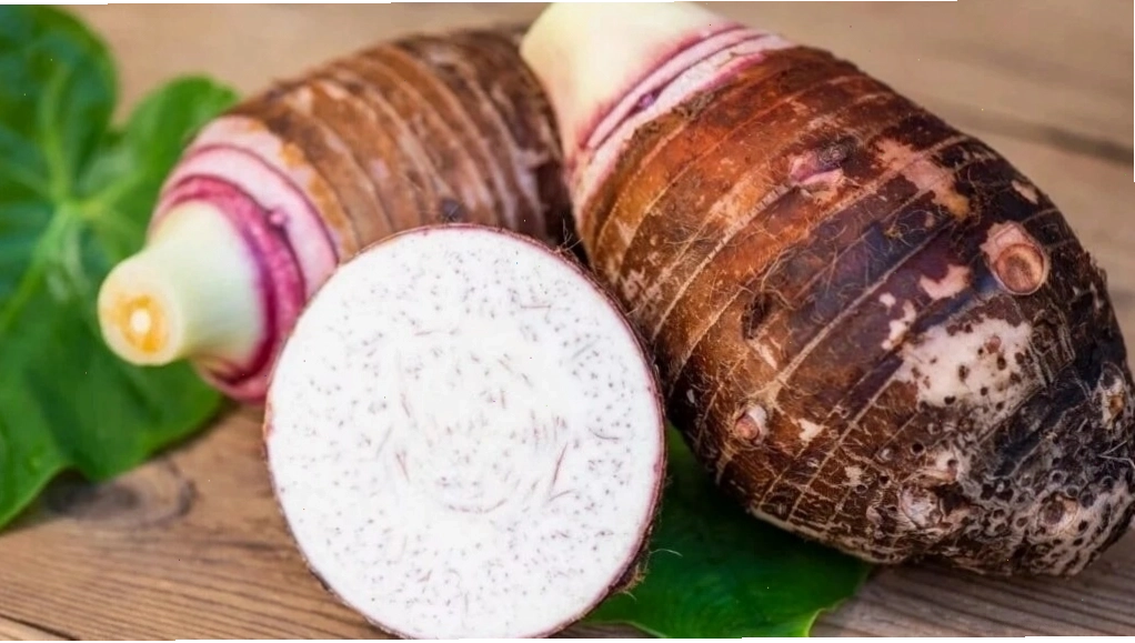 Thành phần dinh dưỡng cần thiết cho cây khoai môn