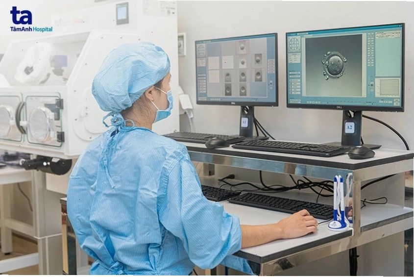 theo dõi sự phát triển của phôi