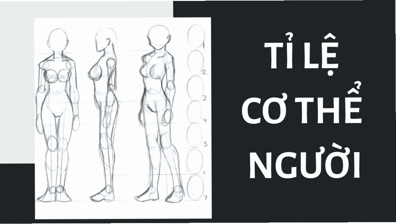 Tỉ lệ cơ thể chuẩn trong vẽ nhân vật anime