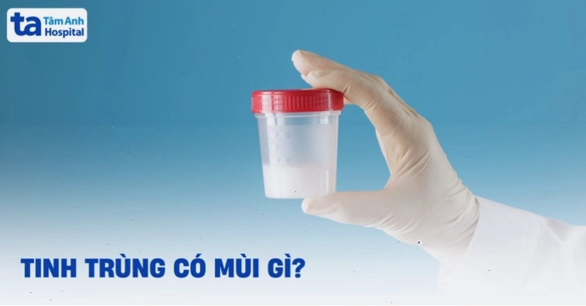 Tinh dịch, tinh trùng có mùi gì