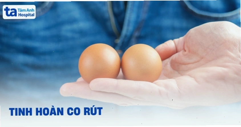 Tinh hoàn co rút