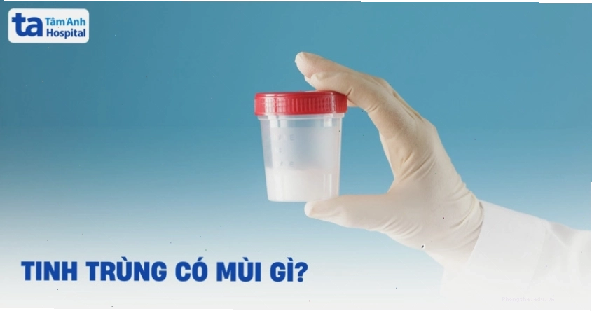 Tinh trùng có mùi gì