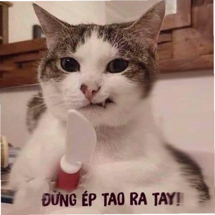 Tổng hợp Meme tức giận cute, dễ thương, tức ghê, giận tím người
