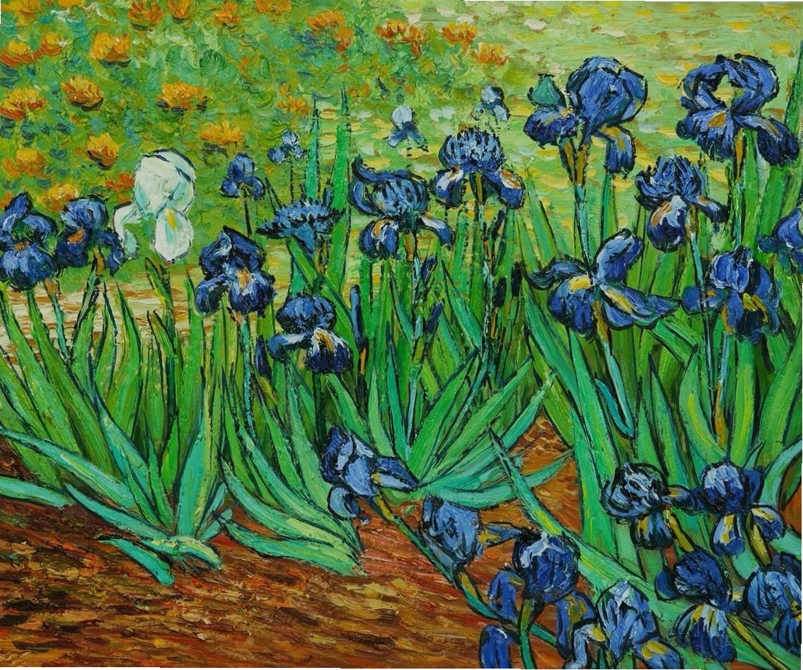 Tranh vẽ hoa diên vĩ của Van Gogh