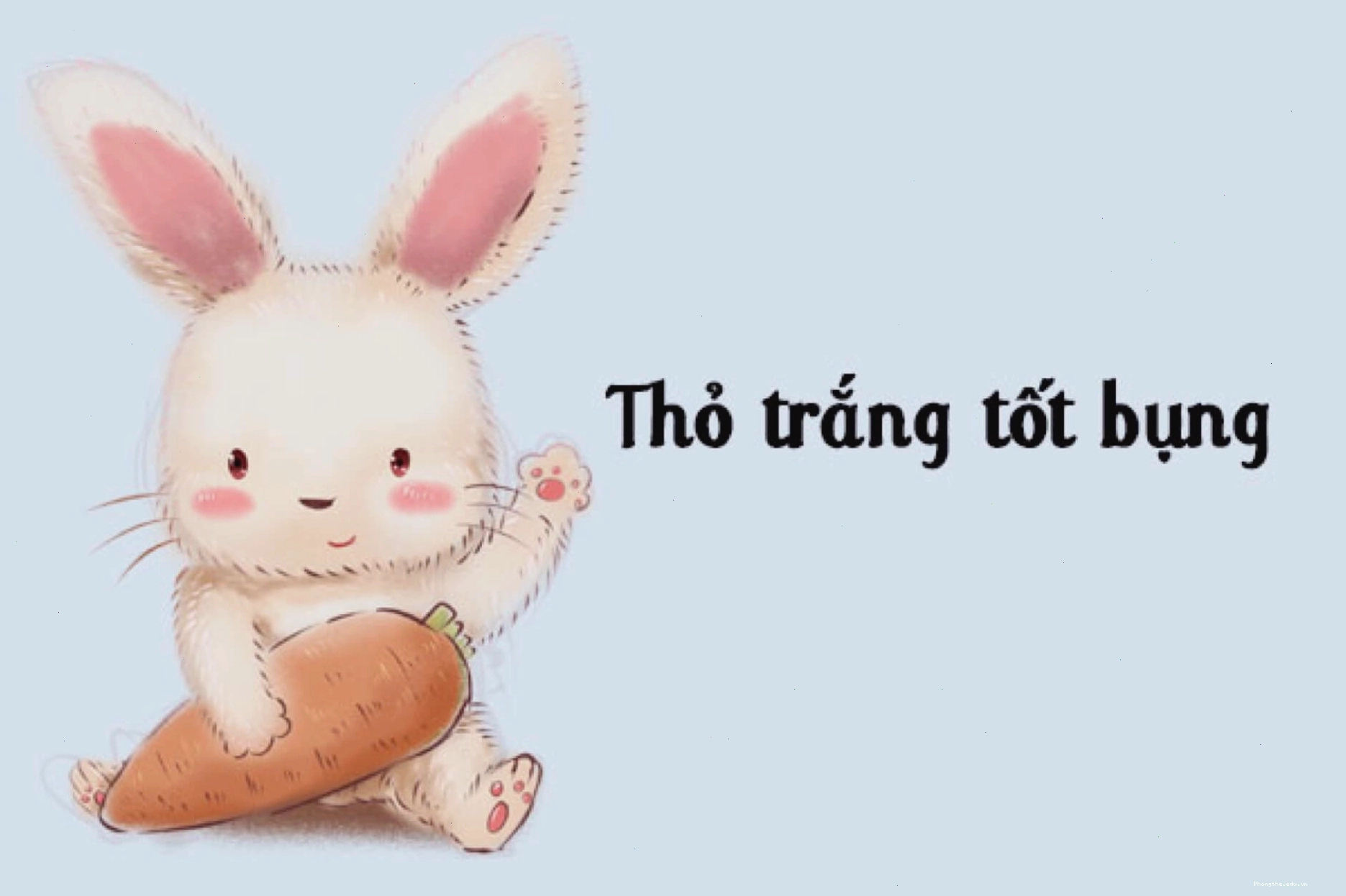 Truyện thai giáo tháng thứ 7 Thỏ trắng tốt bụng