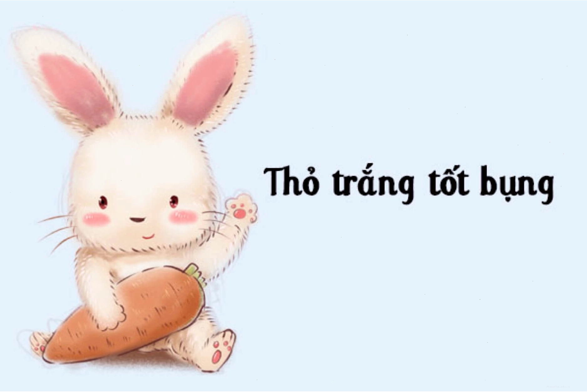 Truyện thai giáo tháng thứ 9: Cô thỏ trắng tốt bụng