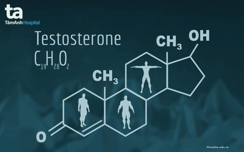 Vai trò của testosterone đối với sinh lý nam giới
