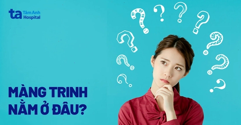 Vị trí của màng trinh trong cơ thể phụ nữ