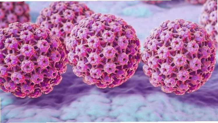 Virus HPV có thể dẫn đến ung thư cổ tử cung hoặc các bệnh ung thư khác