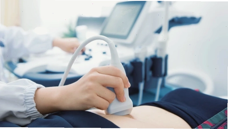 Yolksac có vai trò quan trọng trong giai đoạn đầu thai kỳ