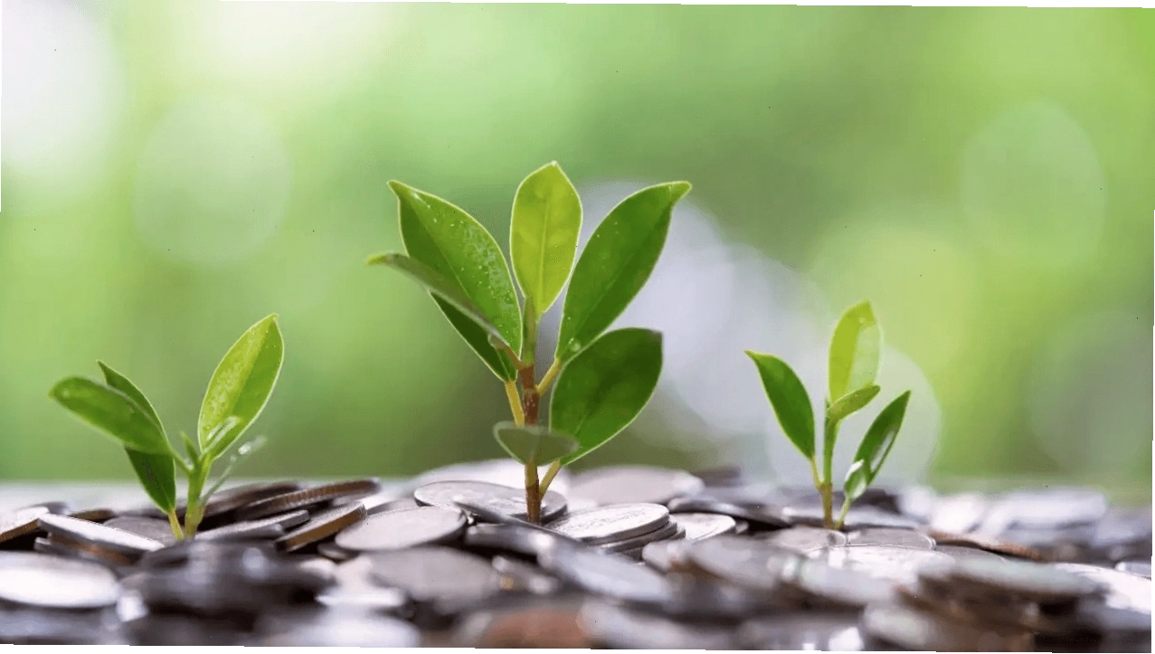 Khái niệm đầu tư cổ tức và lợi ích đối với nhà đầu tư cá nhân